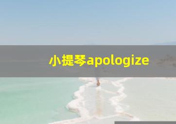 小提琴apologize