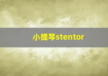 小提琴stentor