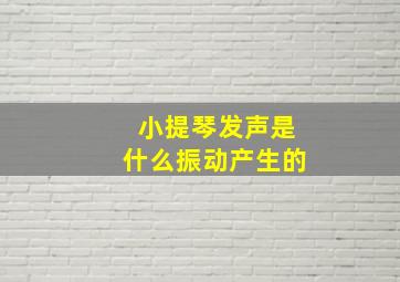 小提琴发声是什么振动产生的