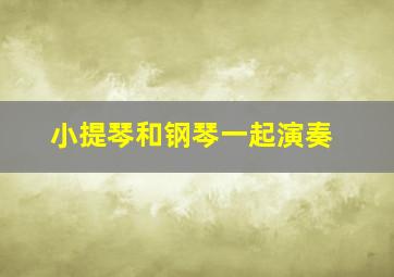 小提琴和钢琴一起演奏