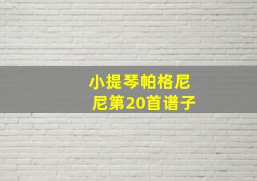 小提琴帕格尼尼第20首谱子