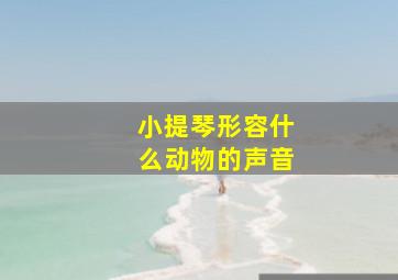 小提琴形容什么动物的声音