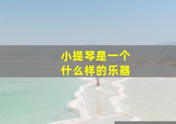 小提琴是一个什么样的乐器