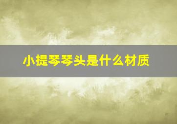 小提琴琴头是什么材质