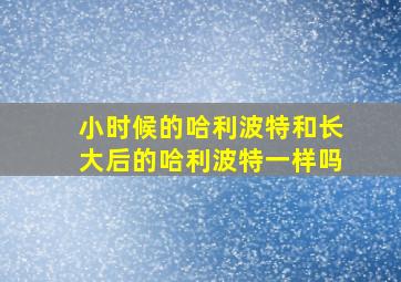 小时候的哈利波特和长大后的哈利波特一样吗