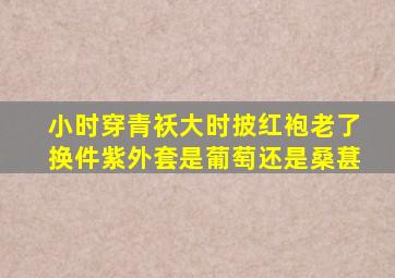 小时穿青袄大时披红袍老了换件紫外套是葡萄还是桑葚