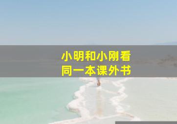 小明和小刚看同一本课外书