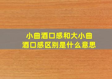 小曲酒口感和大小曲酒口感区别是什么意思