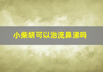 小柴胡可以治流鼻涕吗