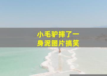 小毛驴摔了一身泥图片搞笑