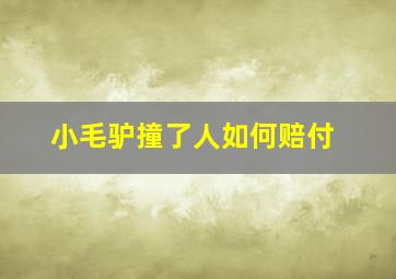 小毛驴撞了人如何赔付