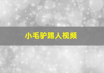 小毛驴踢人视频