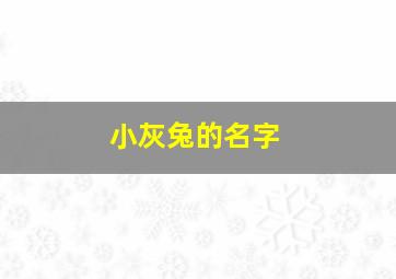 小灰兔的名字