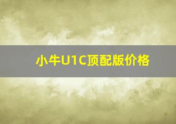 小牛U1C顶配版价格