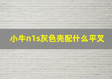 小牛n1s灰色壳配什么平叉