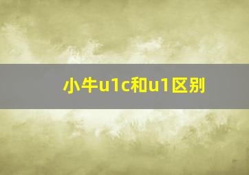 小牛u1c和u1区别