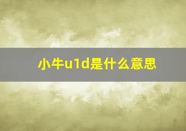 小牛u1d是什么意思