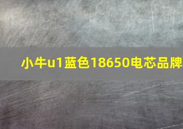 小牛u1蓝色18650电芯品牌