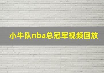 小牛队nba总冠军视频回放