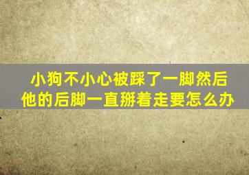 小狗不小心被踩了一脚然后他的后脚一直掰着走要怎么办