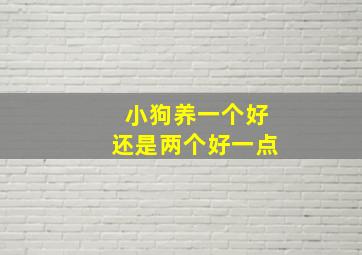 小狗养一个好还是两个好一点