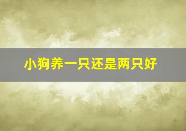 小狗养一只还是两只好