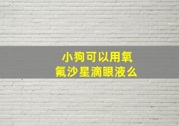 小狗可以用氧氟沙星滴眼液么