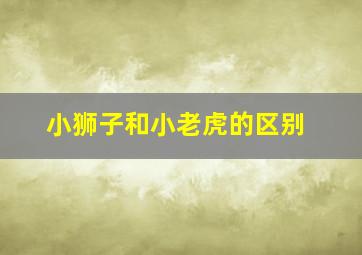 小狮子和小老虎的区别