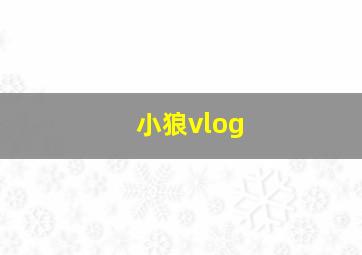 小狼vlog