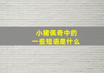 小猪佩奇中的一些短语是什么