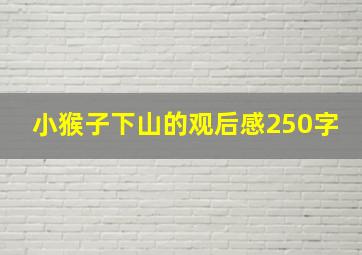 小猴子下山的观后感250字