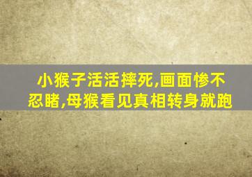 小猴子活活摔死,画面惨不忍睹,母猴看见真相转身就跑