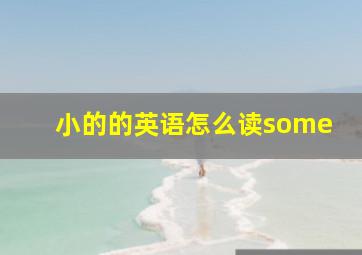 小的的英语怎么读some