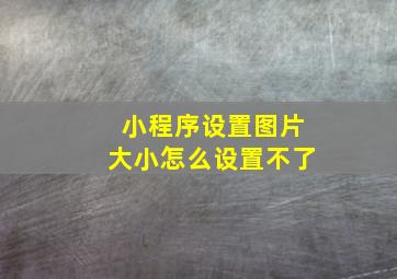 小程序设置图片大小怎么设置不了