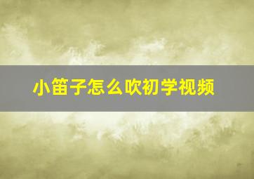 小笛子怎么吹初学视频