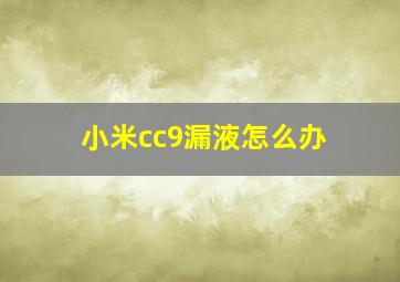 小米cc9漏液怎么办