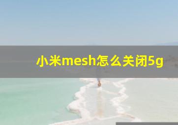 小米mesh怎么关闭5g