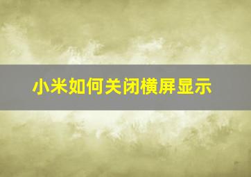 小米如何关闭横屏显示