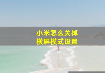 小米怎么关掉横屏模式设置