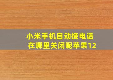 小米手机自动接电话在哪里关闭呢苹果12