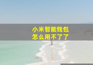 小米智能钱包怎么用不了了