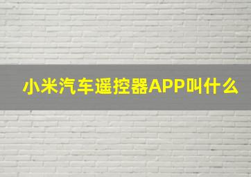 小米汽车遥控器APP叫什么