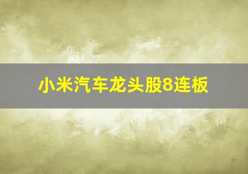 小米汽车龙头股8连板