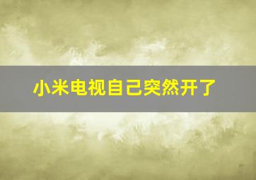 小米电视自己突然开了