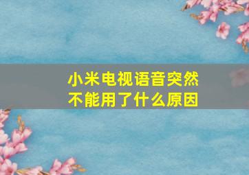 小米电视语音突然不能用了什么原因