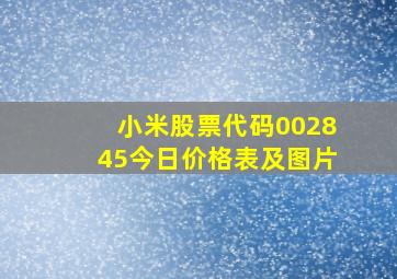 小米股票代码002845今日价格表及图片