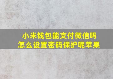 小米钱包能支付微信吗怎么设置密码保护呢苹果