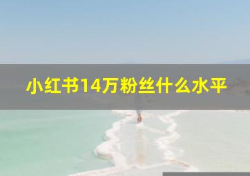 小红书14万粉丝什么水平