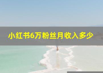 小红书6万粉丝月收入多少