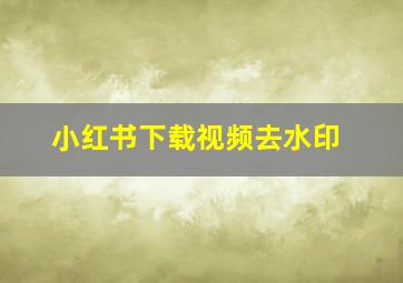 小红书下载视频去水印